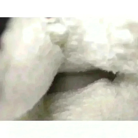 KAMIK Brooklyn Boots Women's US 7 Brown Lace Up Waterproof Fleece Lined Snow - Picture 8 of 12